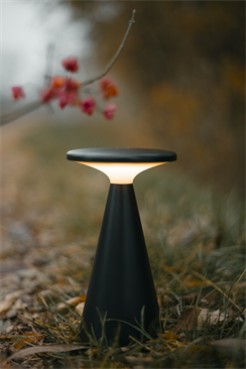 MAXLIGHT T0063 LAMPA STOŁOWA FUNGHI CZARNA IP44