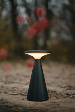 MAXLIGHT T0063 LAMPA STOŁOWA FUNGHI CZARNA IP44