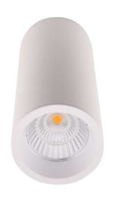 MAXLIGHT C0153 LAMPA SUFITOWA LONG BIAŁY 7W