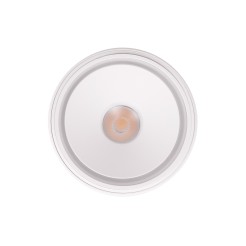 MAXLIGHT C0265 LAMPA SUFITOWA VECTOR 10W BIAŁA
