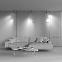 MAYTONI Ścieżka świetlna Elti Duo 24W LED 1802lm 2700-6000K 90 CRI Dimmable  TR005-4-2X12W-DS-BW