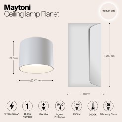 MAYTONI Spot reflektor sufitowy 1punktowy Natynkowy Planet 12W LED 750lm 3000K 80 CRI C009CW-L12W