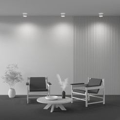 MAYTONI Spot reflektor sufitowy 1punktowy Natynkowy Planet 16W LED 1000lm 3000K 80 CRI C009CW-L16W