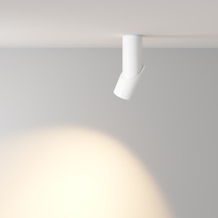 MAYTONI Spot reflektor sufitowy 1punktowy Natynkowy Obrotowy Dafne 10W LED 800lm 3000K 90 CRI C027CL-L10W