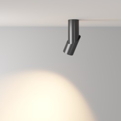 MAYTONI Spot reflektor sufitowy 1punktowy Natynkowy Obrotowy Dafne 10W LED 800lm 3000K 90 CRI C027CL-L10B