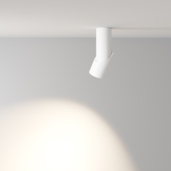 MAYTONI Spot reflektor sufitowy 1punktowy Natynkowy Obrotowy Dafne 10W LED 1060lm 4000K 90 CRI C027CL-L10W4K