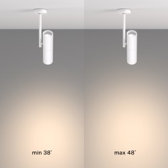 MAYTONI Spot reflektor sufitowy 1punktowy Natynkowy Elti 10W GU10 C020CL-01W
