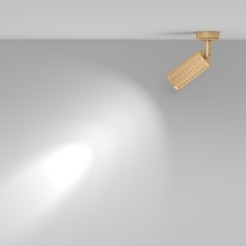 MAYTONI Spot reflektor sufitowy 1punktowy Natynkowy Obrotowy Focus Design 10W GU10 C034CL-01G