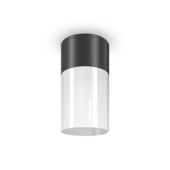 MAYTONI Spot reflektor sufitowy 1punktowy Natynkowy Willis 60W E27 O418CL-01B
