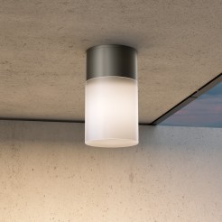 MAYTONI Spot reflektor sufitowy 1punktowy Natynkowy Willis 60W E27 O418CL-01B