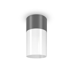 MAYTONI Spot reflektor sufitowy 1punktowy Natynkowy Willis 60W E27 O418CL-01GR