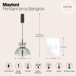 MAYTONI Lampa wisząca Bangkok 12W LED 1200lm 3000K 80 CRI  MOD185PL-L11B3K2