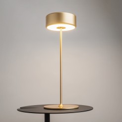 MAYTONI Lampa stołowa AI Collaboration 3W LED 120lm 2200-4000K 82 CRI Dimmable  MOD229TL-L3G3K2