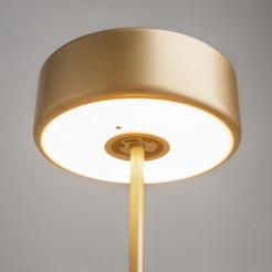 MAYTONI Lampa stołowa AI Collaboration 3W LED 120lm 2200-4000K 82 CRI Dimmable  MOD229TL-L3G3K2