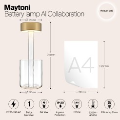 MAYTONI Lampa stołowa AI Collaboration 3W LED 120lm 2200-4000K 82 CRI Dimmable  MOD229TL-L3G3K1
