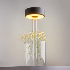 MAYTONI Lampa stołowa AI Collaboration 3W LED 120lm 2200-4000K 82 CRI Dimmable  MOD229TL-L3B3K1