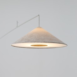 A 11686