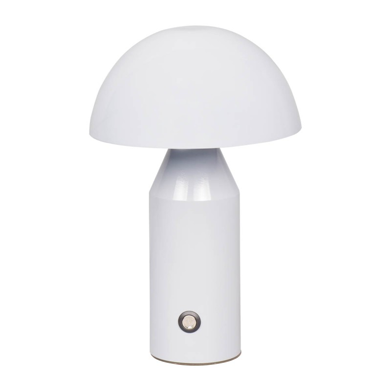 Dorbia TB-83647-WH