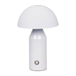 Dorbia TB-83647-WH