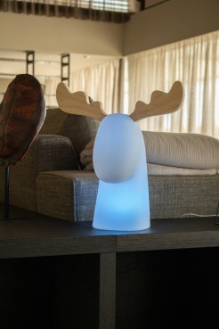 3139 RUDY 35 LAMPA ZEWNĘTRZNA BIAŁY