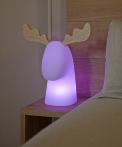 3139 RUDY 35 LAMPA ZEWNĘTRZNA BIAŁY