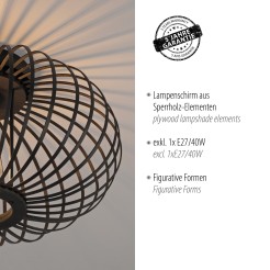 11410-18 RACOON LAMPA SUFITOWA CZARNA