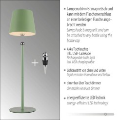 19251-43 BOTERIA LAMPA STOŁOWA ZIELONY