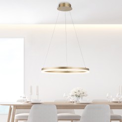 2382-60 TITUS LAMPA WISZĄCA MOSIĄDZ