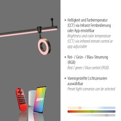 12076-18 LOLASMART-BILEDA LAMPA SUFITOWA CZARNY