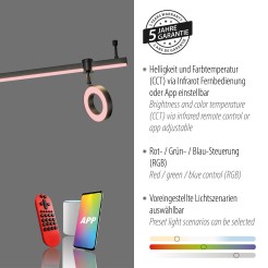 12076-18 LOLASMART-BILEDA LAMPA SUFITOWA CZARNY