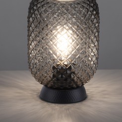 14906-18 REISHI LAMPA STOŁOWA SMOKY