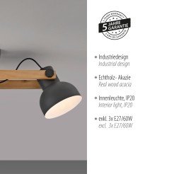 15745-18 CUP 2.0 LAMPA SUFITOWA CZARNY/DREWNO
