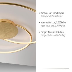 6189-12 NASTRO LAMPA SUFITOWA ZŁOTY