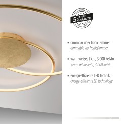 6189-12 NASTRO LAMPA SUFITOWA ZŁOTY