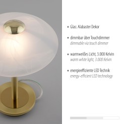 4026-60 ENOVA LAMPA STOŁOWA MATOWY MOSIĄDZ