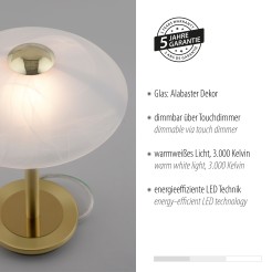 4026-60 ENOVA LAMPA STOŁOWA MATOWY MOSIĄDZ