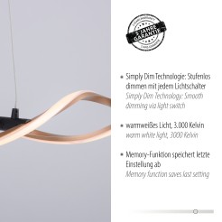 9142-18 POLIA LAMPA WISZĄCA CZARNY/ZŁOTY