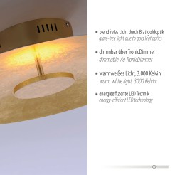 8132-12 PLATE LAMPA SUFITOWA ZŁOTY