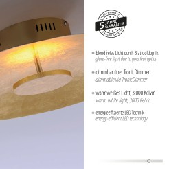 8132-12 PLATE LAMPA SUFITOWA ZŁOTY