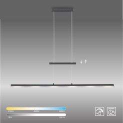 15880-13 NELE LAMPA WISZĄCA ANTRACYT