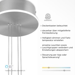 2075-55 Q-ETIENNE LAMPA WISZĄCA STALOWY