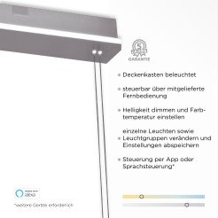 2079-55 Q-ETIENNE LAMPA WISZĄCA STALOWY