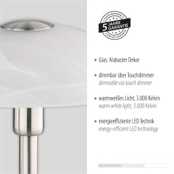 4026-55 ENOVA LAMPA STOŁOWA SREBRNY