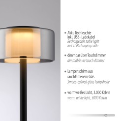 4111-18 RIKA LAMPA STOŁOWA CZARNY/SMOKY