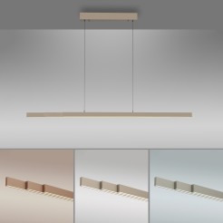 2598-97 ADRIANA COMFORT LIFT LAMPA WISZĄCA MOSIĄDZ