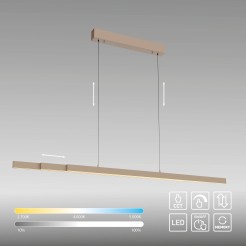2598-97 ADRIANA COMFORT LIFT LAMPA WISZĄCA MOSIĄDZ