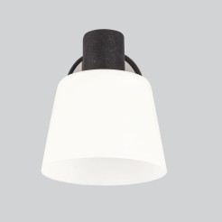 Lampa ścienna kinkiet BILOBA czarny 1x40W E14  nowoczesne oświetlenie do salonu sypialni przedpokoju 91-49063