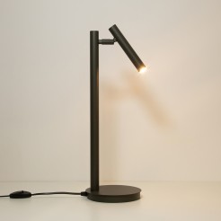 lampka ciemna oliwka 41477